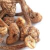 Brazilian Magic Mushrooms (Psilocybe Cubensis Brazilian) are a potent strain of psychedelic mushrooms originating from the tropical regions of Brazil.